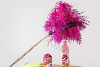 Roztocza kurzu. Jak poradzić sobie z kurzem w mieszkaniu w 15 minut? 6