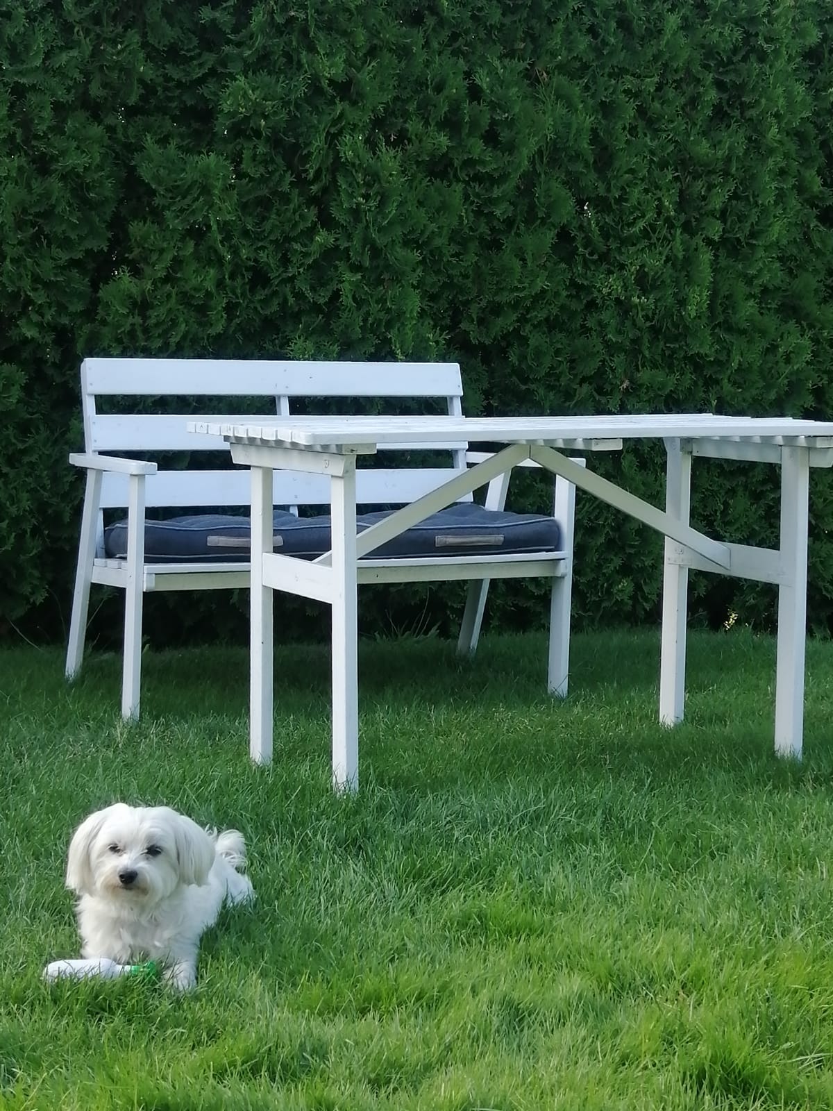 Czym pomalować meble ogrodowe