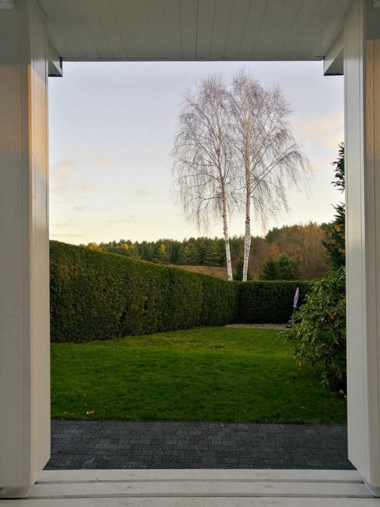 5 pomysłów na mały ogródek przed domem 13