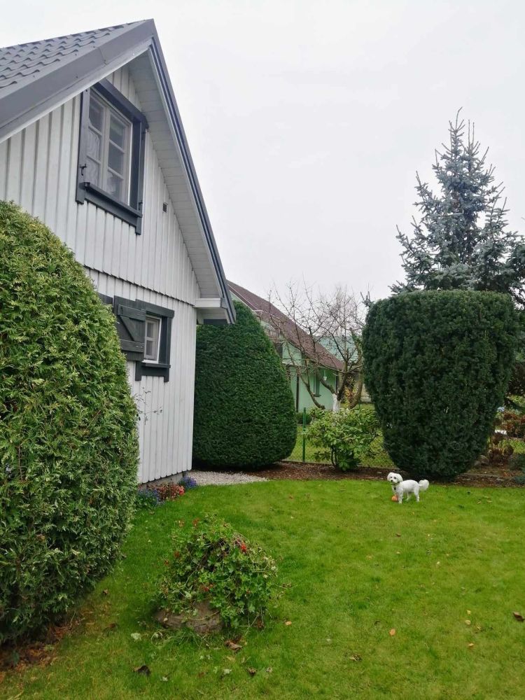 5 pomysłów na mały ogródek przed domem 14