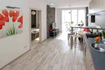 Salon z aneksem kuchennym 20m2