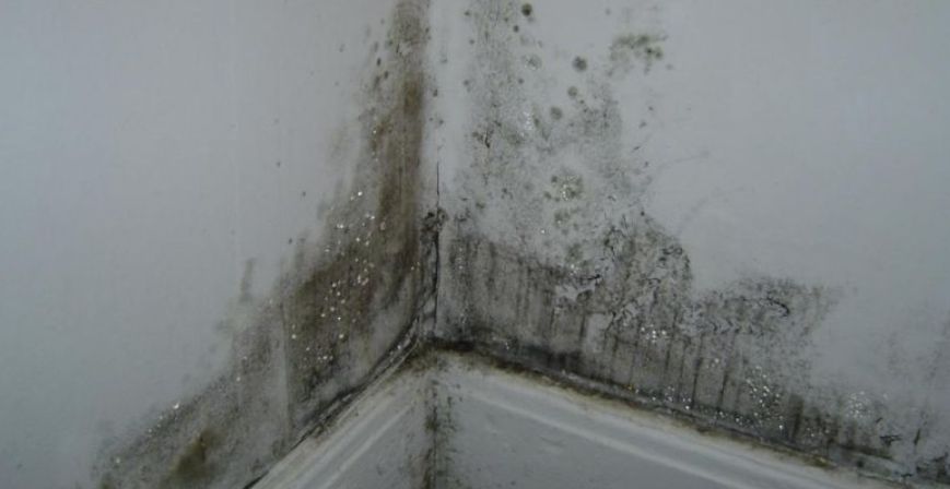 Wilgoć w mieszkaniu - jak sobie z nią poradzić w 3 krokach 1