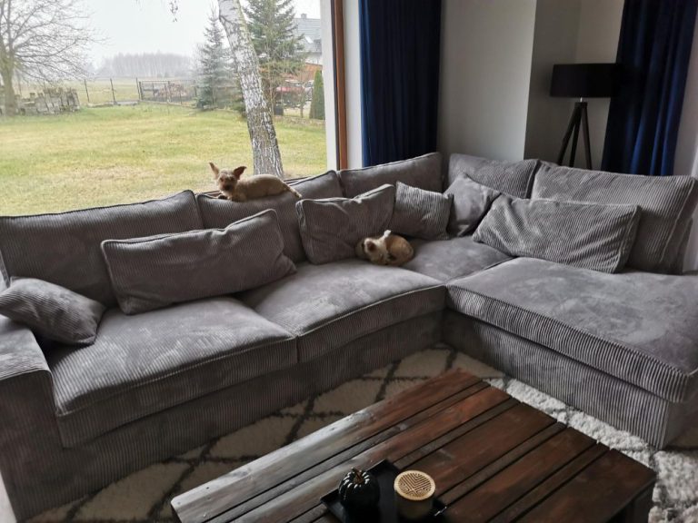 Jak wybrać idealny narożnik 430 cm do Twojego salonu?
