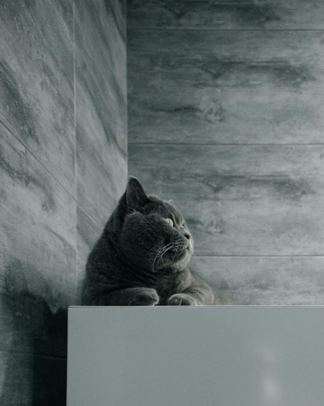 Kolor grafitowy a antracytowy