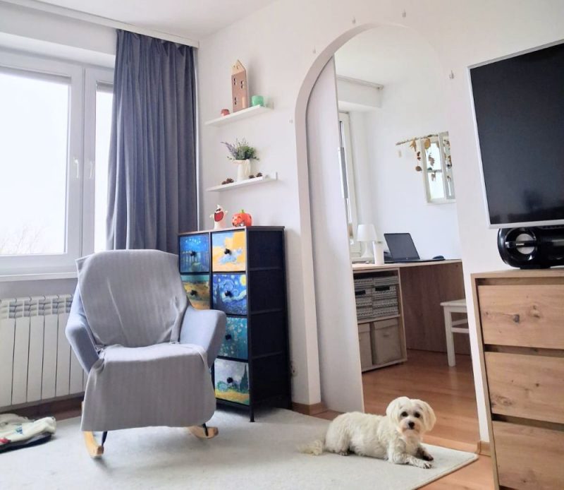 komfortowe mieszkanie z psem